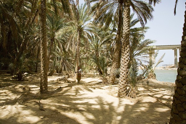 Wadi Shab