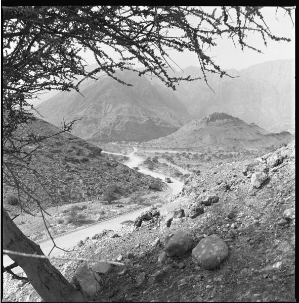 A typical view of a graded road of the interior of Oman